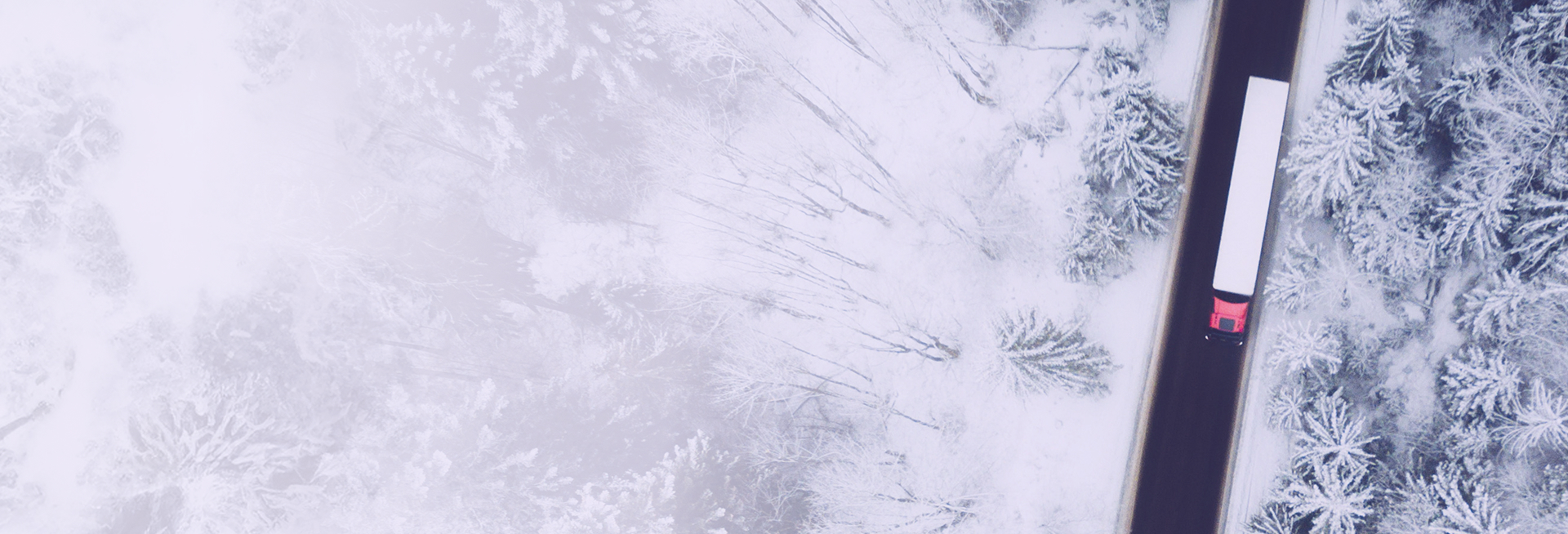 Level 4 Trucking V-Suite